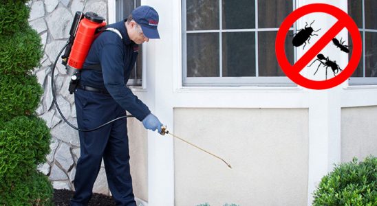 Keçiborlu Fare İlaçlama böcek ilaçlama ve haşere kontrolü — ilaclama-tr.com
